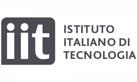 Logo Istituto Italiano di Tecnologia